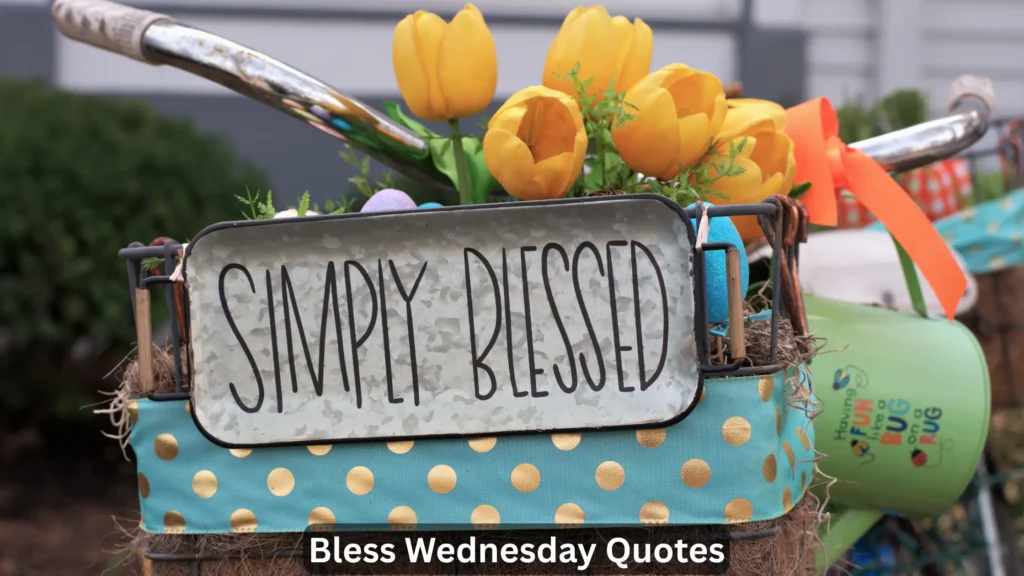 Bless Wednesday Quotes
