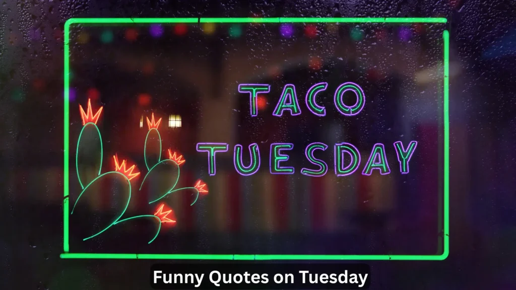 Funny Quotes on Tuesday