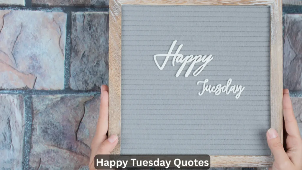 Happy Tuesday Quotes