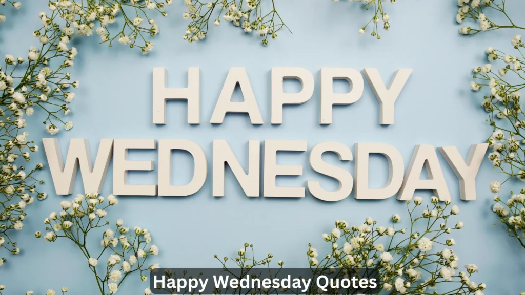 Happy Wednesday Quotes