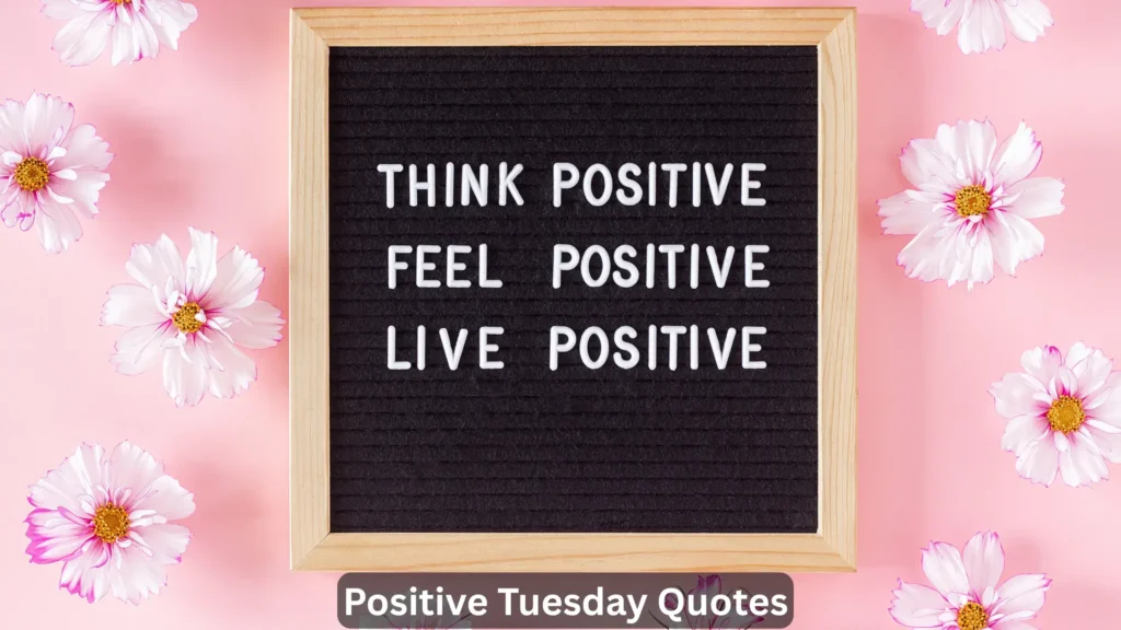 Positive Tuesday Quotes