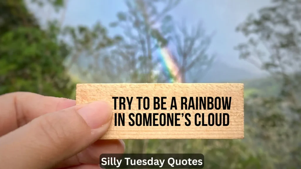 Silly Tuesday Quotes