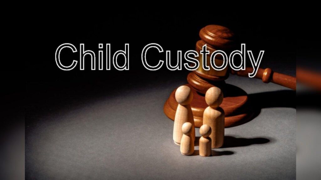Child Custody Cases
