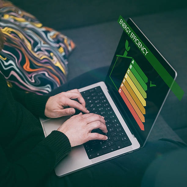 Sustainable Carpet Options for the Eco-Conscious Homeowner Sustainable Carpet Options for the Eco-Conscious Homeowner